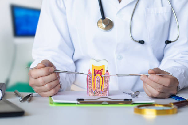 Best Emergency Dental Care for Trauma or Injury in Hays, NC